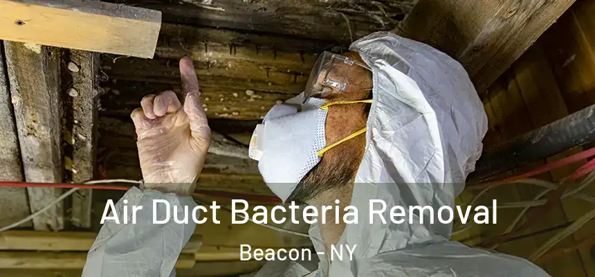  Air Duct Bacteria Removal Beacon - NY