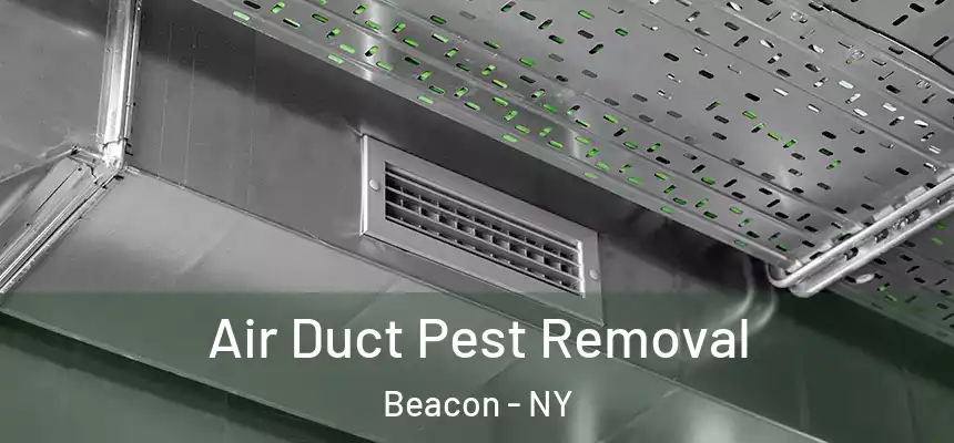  Air Duct Pest Removal Beacon - NY