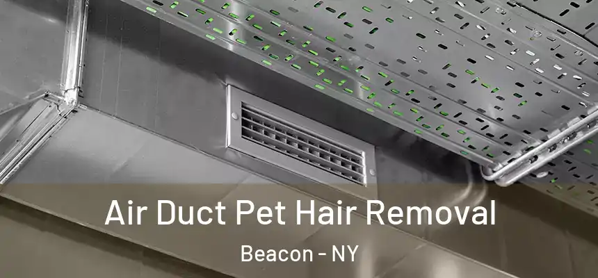  Air Duct Pet Hair Removal Beacon - NY