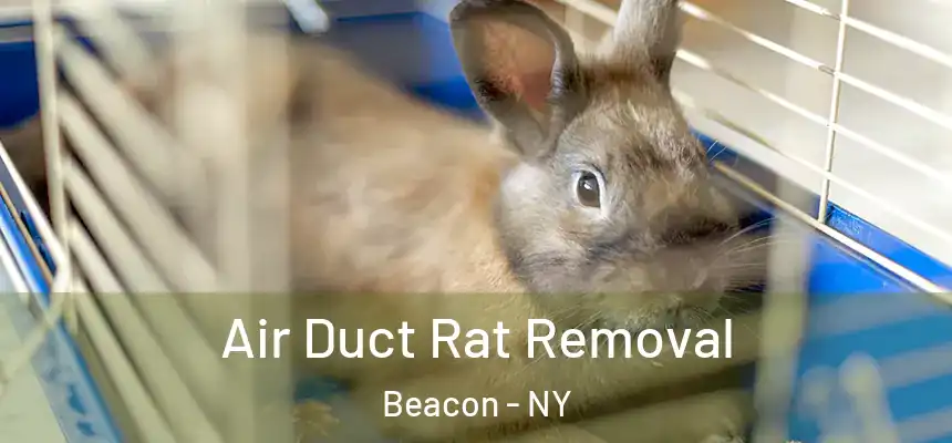  Air Duct Rat Removal Beacon - NY