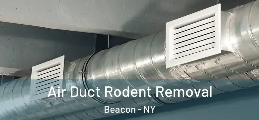  Air Duct Rodent Removal Beacon - NY