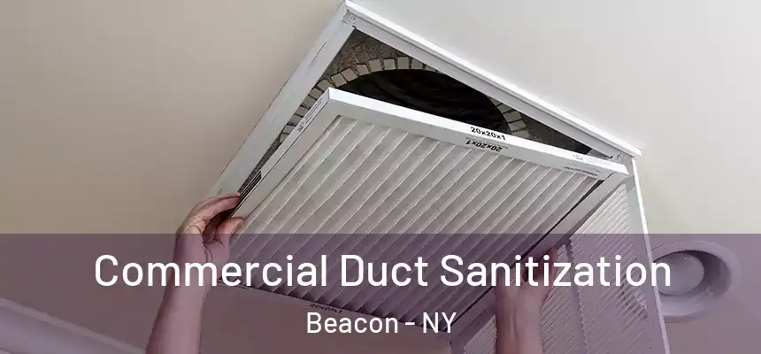  Commercial Duct Sanitization Beacon - NY