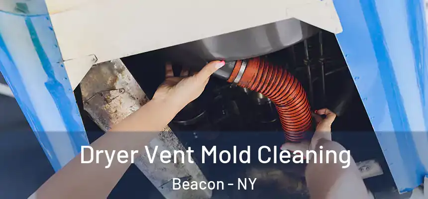  Dryer Vent Mold Cleaning Beacon - NY