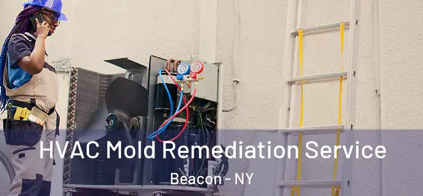  HVAC Mold Remediation Service Beacon - NY