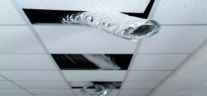 Our Air Duct Pet Hair Removal Services in Beacon, NY