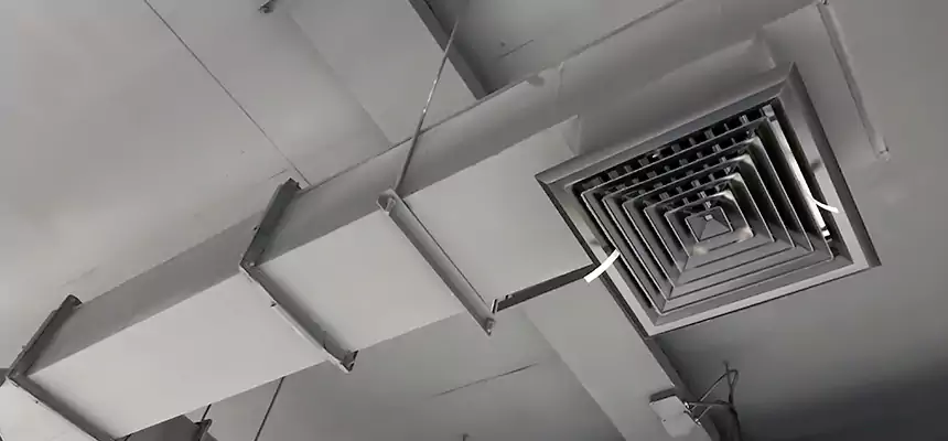 Our Rodent Droppings In Vents Services in Beacon, NY