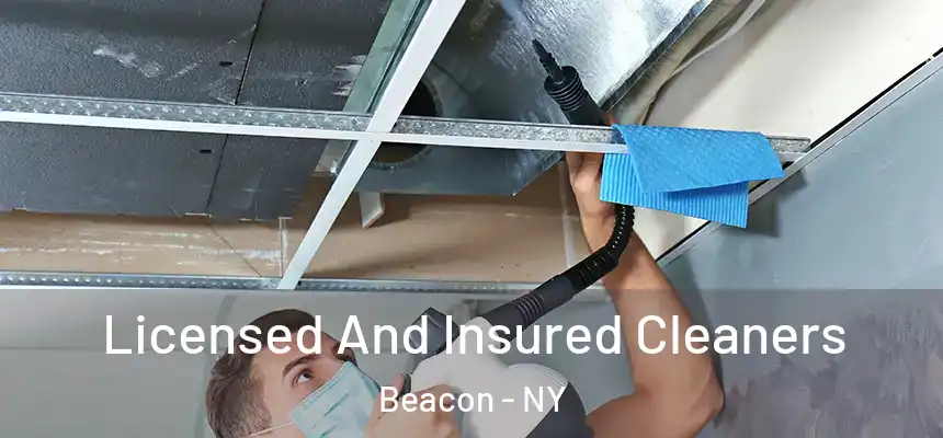  Licensed And Insured Cleaners Beacon - NY