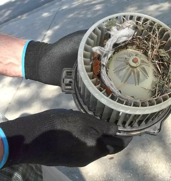 About Air Duct Rat Removal in Beacon, NY