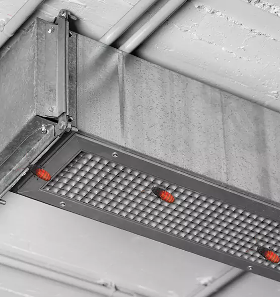 Affordable Insect Removal from Air Ducts in Beacon, NY