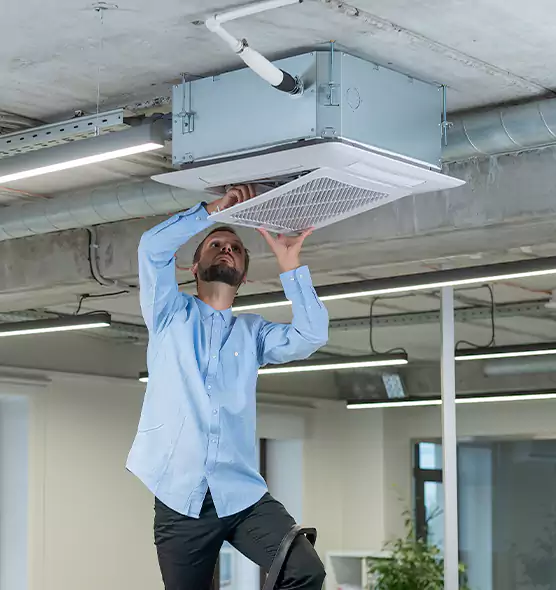 Advanced Rodent Droppings In Vents in Beacon, NY